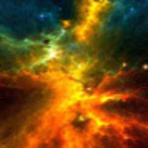 Meet your Posher, Dylan